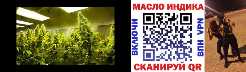 Купить  Корсаков  ТГК гашишное масло 