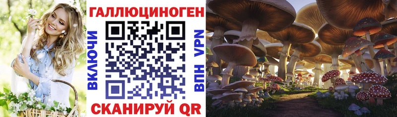 Купить  Корсаков  Псилоцибиновые грибы прущие грибы 